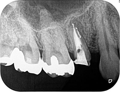 2013.12.12 2R078.jpg
